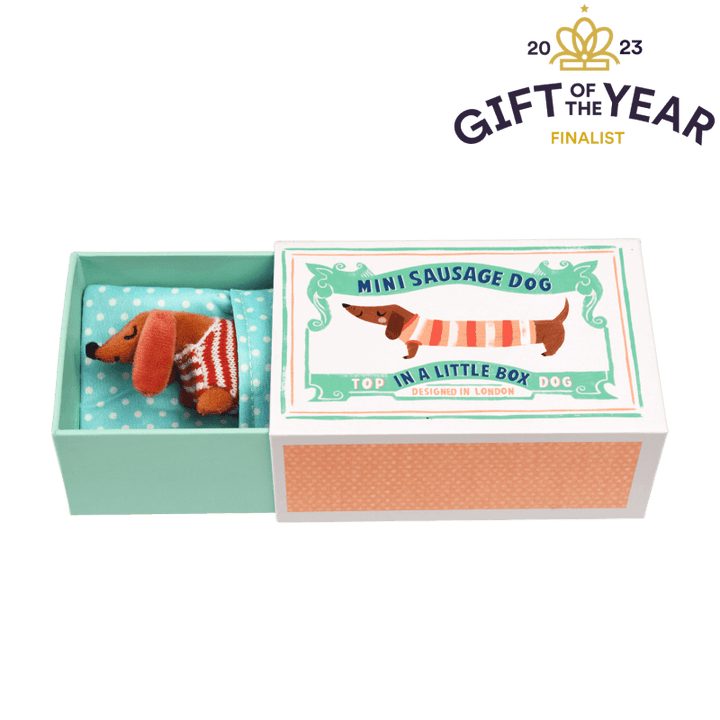 Mini Sausage Dog in a Little Box
