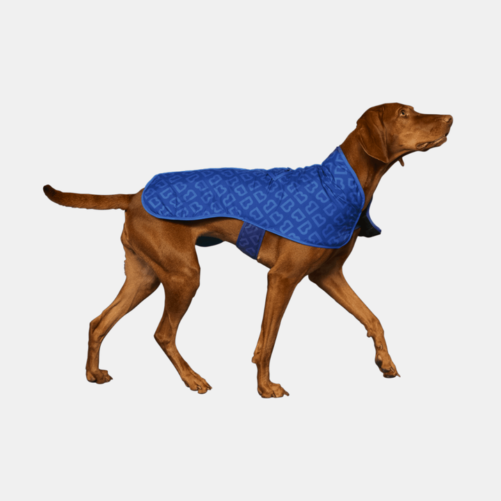 Blunt | Blunt Blue Dog Coat - Medium | Shut the Front Door