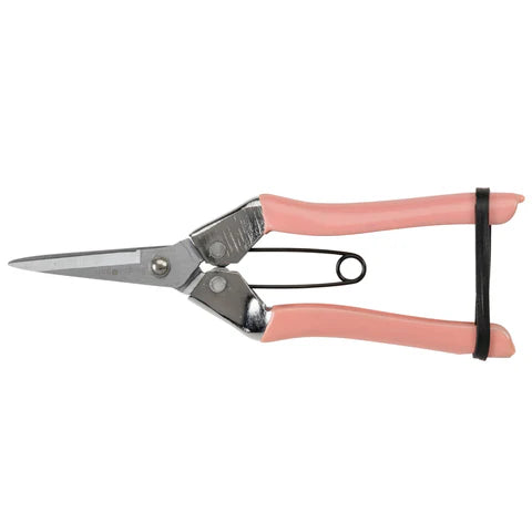 Burgon & Ball | Collectors Blush Fruit & Flower Snips | Shut the Front Door