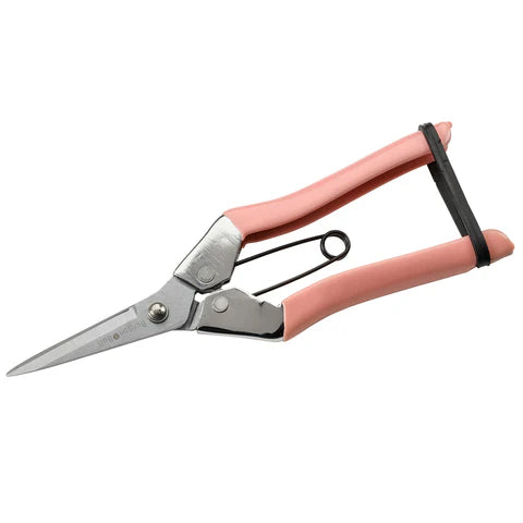Burgon & Ball | Collectors Blush Fruit & Flower Snips | Shut the Front Door