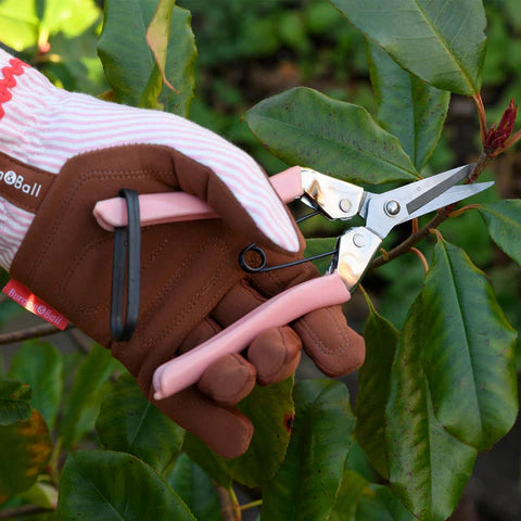 Burgon & Ball | Collectors Blush Fruit & Flower Snips | Shut the Front Door