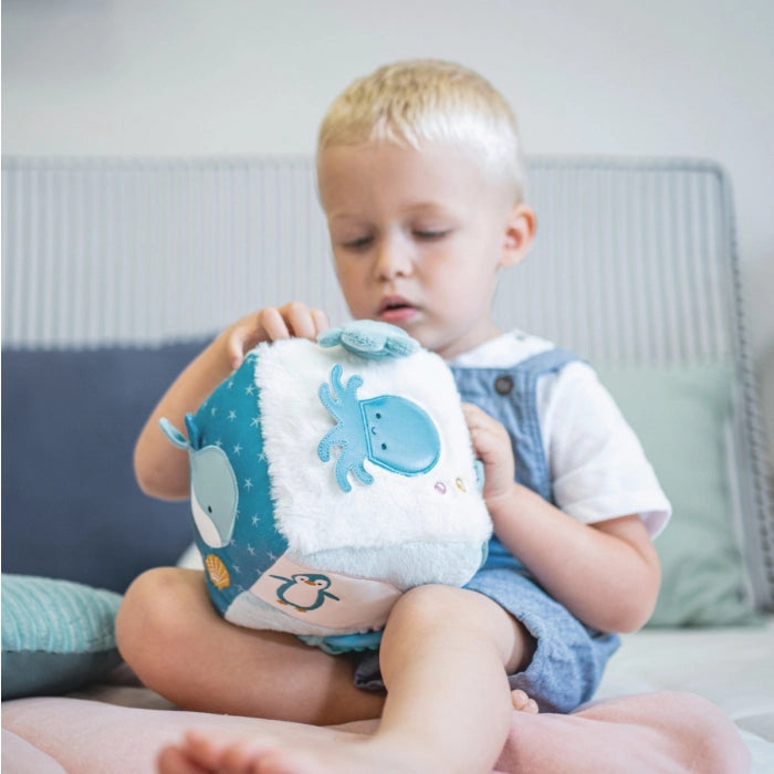 Dimples | Soft Activity Cube - Ocean | Shut the Front Door