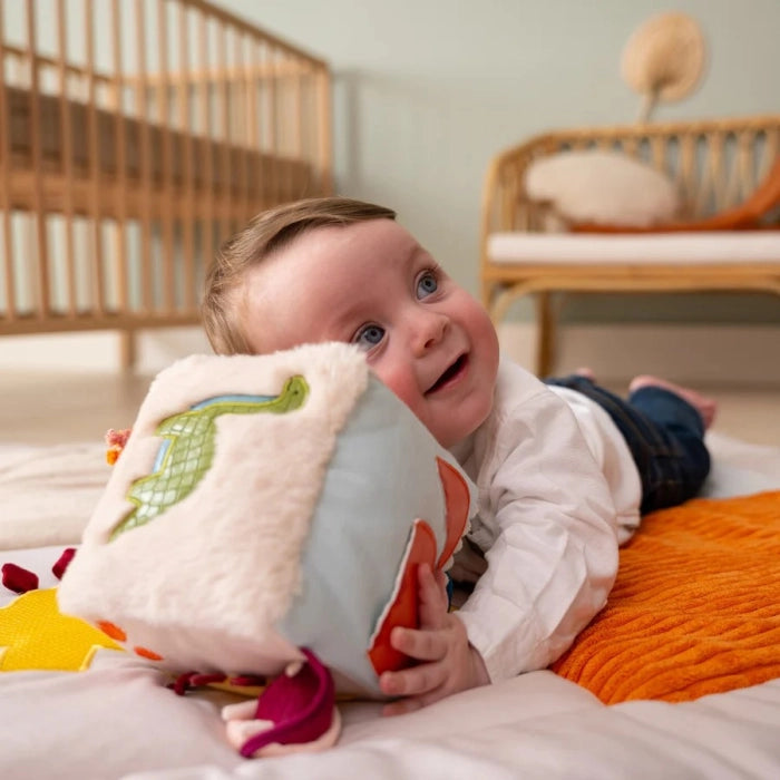 Dimples | Soft Activity Cube - Dino Friends | Shut the Front Door