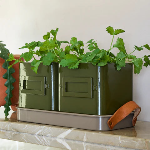 Burgon & Ball | Herb Pots - Olive | Shut the Front Door