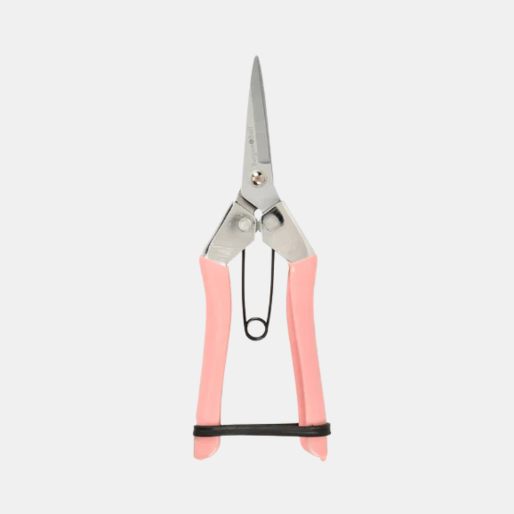 Burgon & Ball | Collectors Blush Fruit & Flower Snips | Shut the Front Door