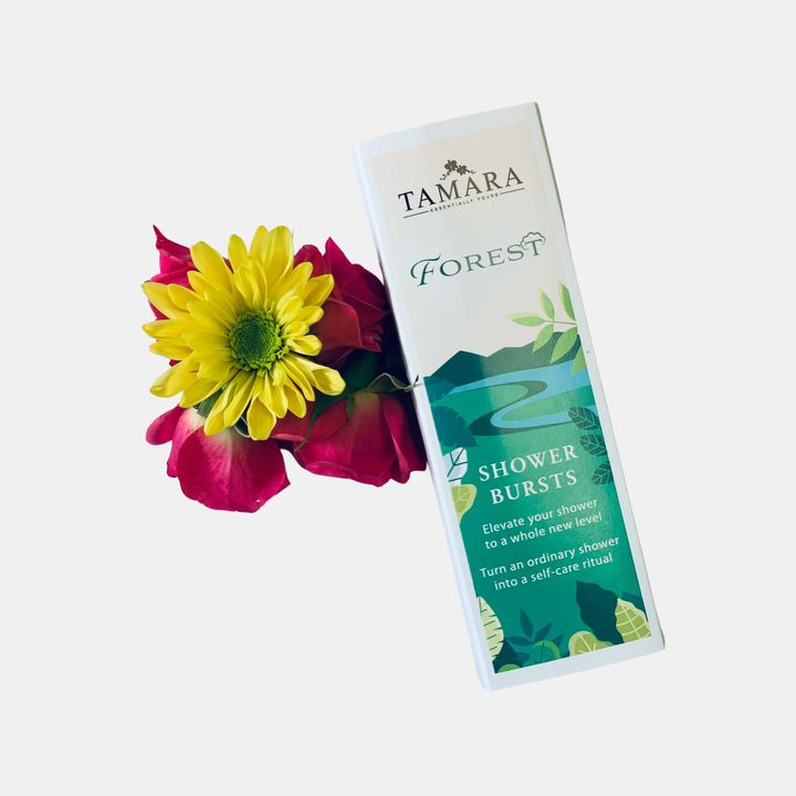 Tamara | Shower Bursts Forest Collection - Box of 3 | Shut the Front Door