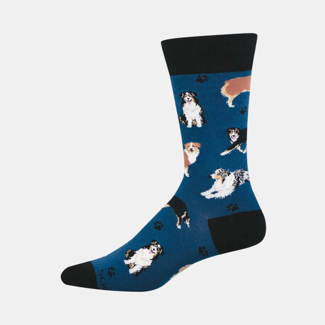 Men's Aussies Socks - Blue