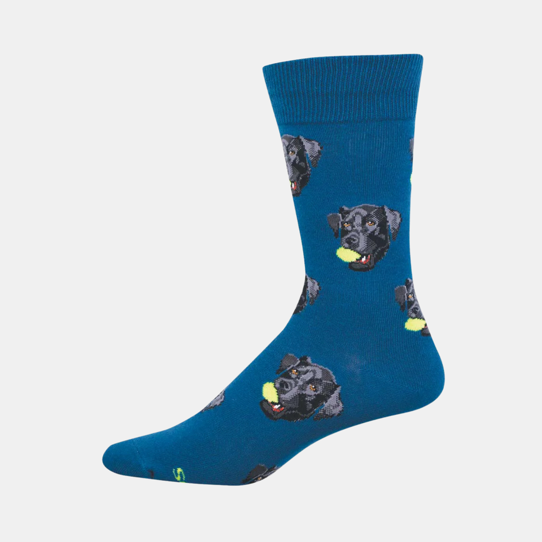 Men's Black Lab Socks - Teal