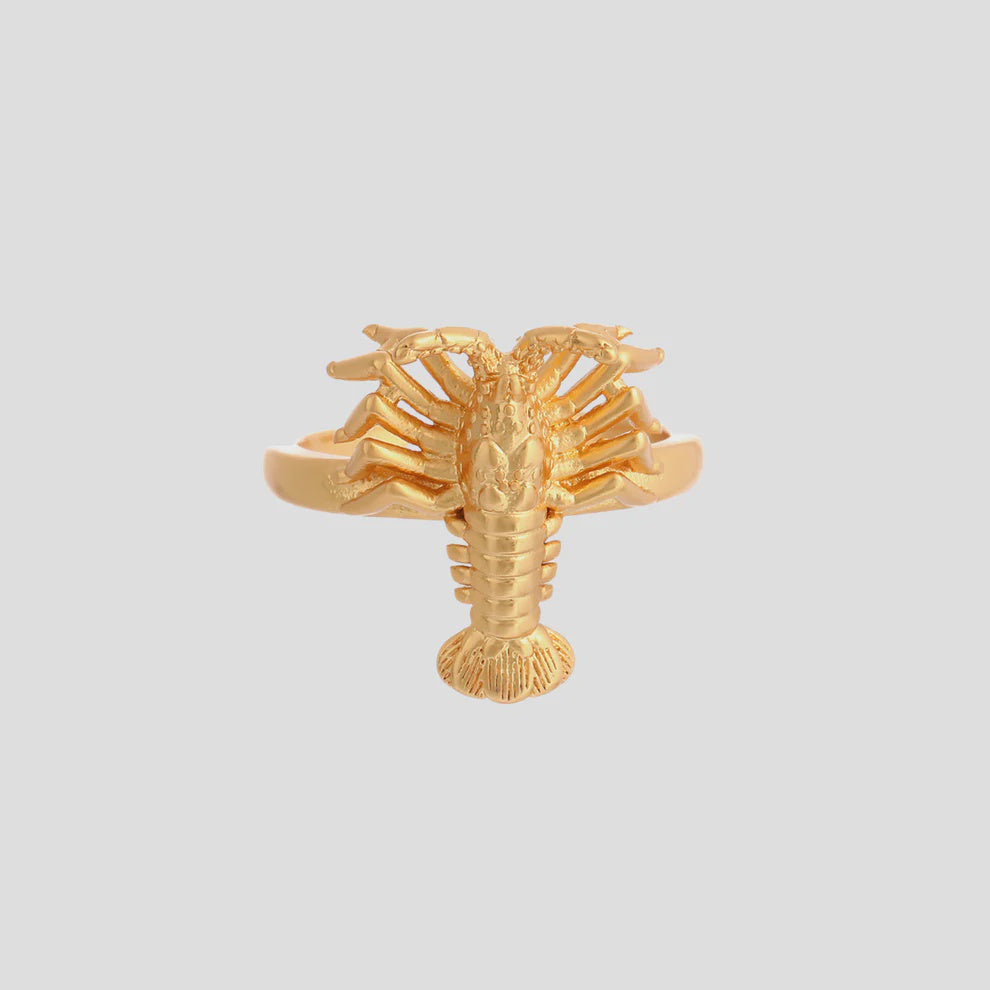 Antigone | Clarissa Ring - Gold | Shut the Front Door
