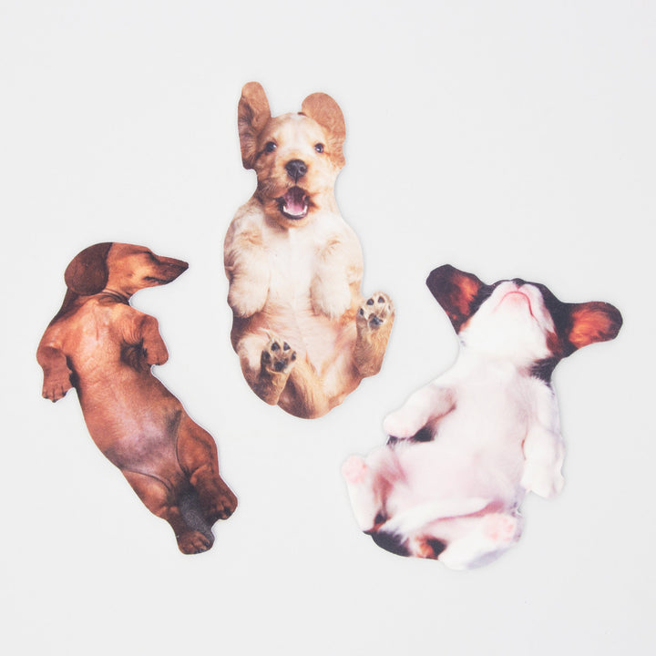 Pawfect Nails - Daschund