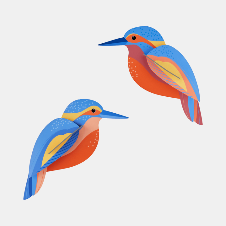 Wall Art Garden Birds (B6) - Kingfishers