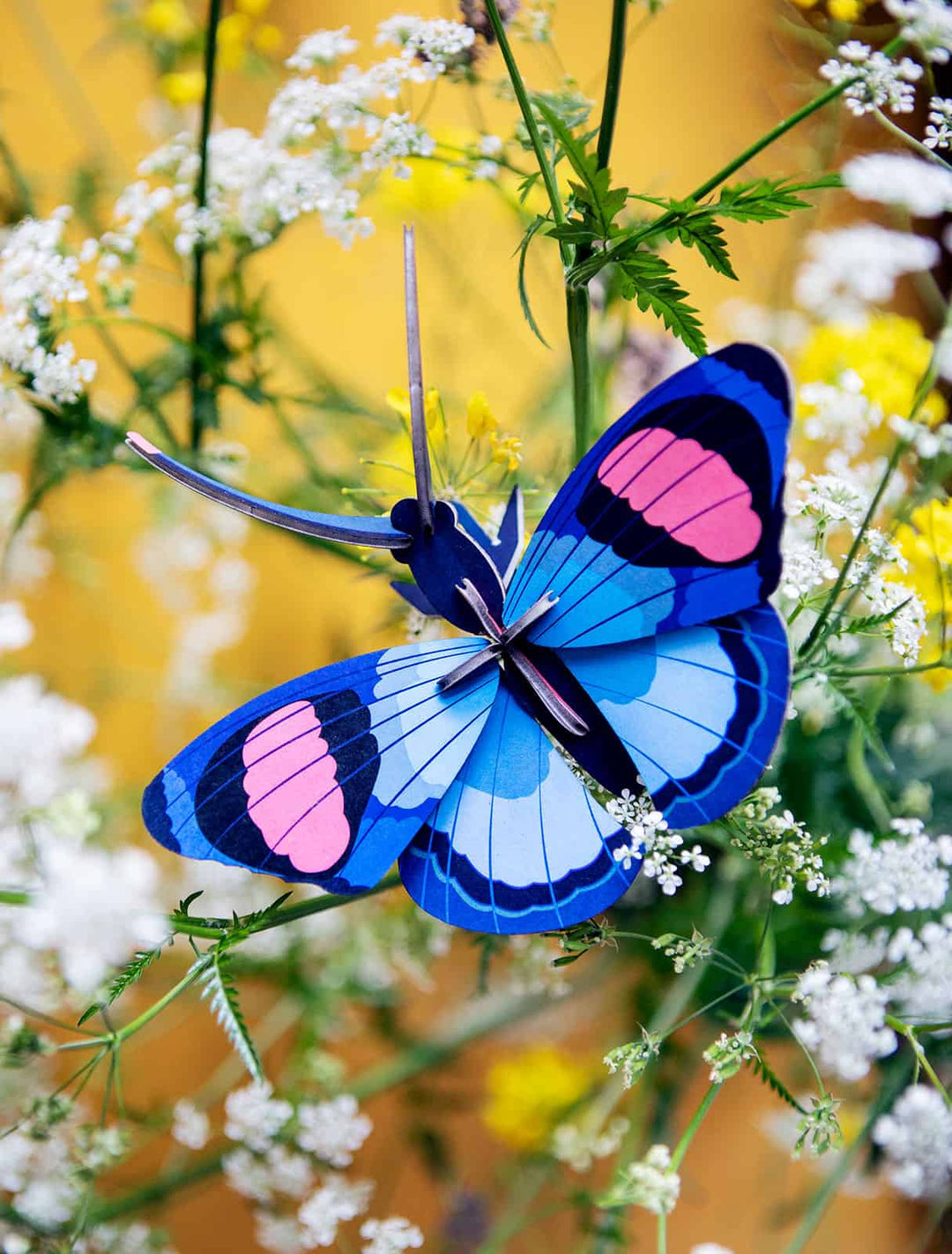 Wall Art Butterflies (B7) - Peacock Butterfly