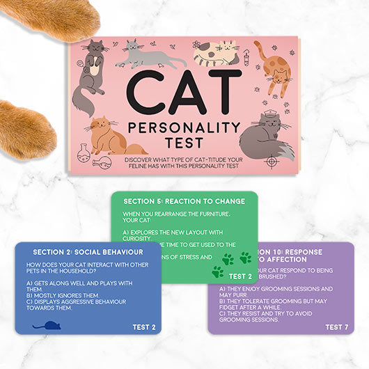 Gift Republic | Cat Personality Test | Shut the Front Door