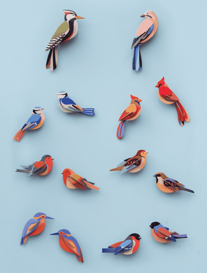 Wall Art Garden Birds (B6) - Kingfishers
