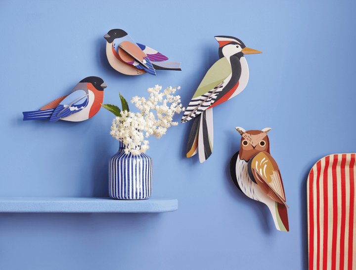 Wall Art Garden Birds (B6) - Tawny Owl