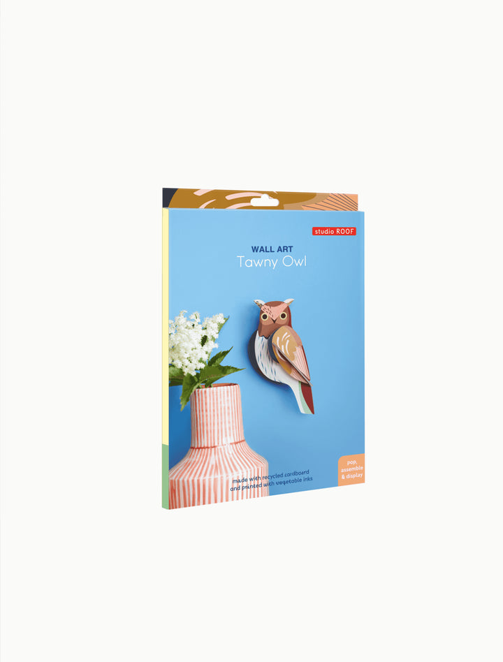 Wall Art Garden Birds (B6) - Tawny Owl
