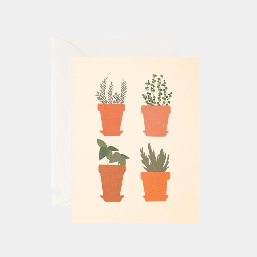 Father Rabbit | Card Herb Pots | Shut the Front Door