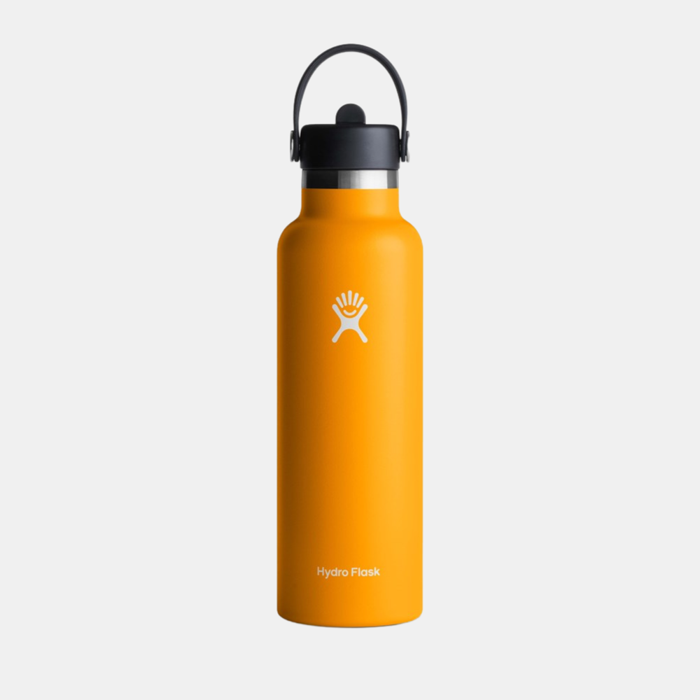 Hydro Flask | Hydro Flask Standard with Flex Straw - Starfish | Shut the Front Door