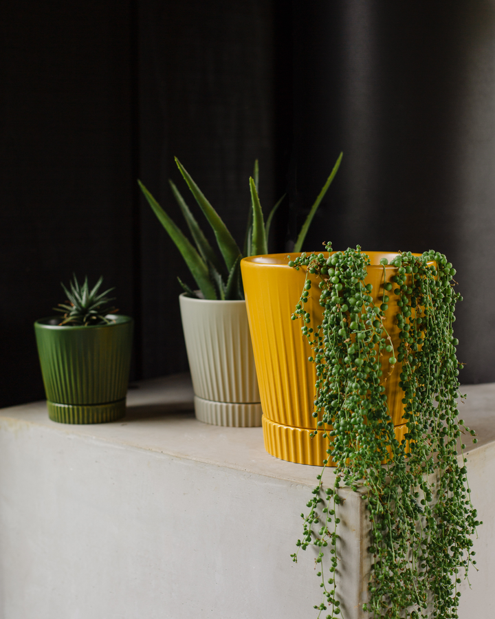 Garcia | Indie Planter Medium - Olive | Shut the Front Door