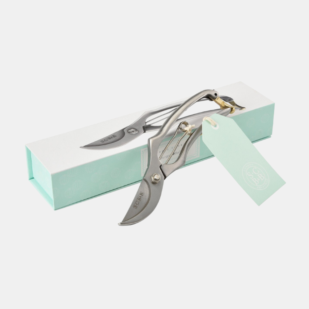 Burgon & Ball Sophie Conran Bypass Pruner - Small, Lightweight Stainless Steel Garden Secateurs