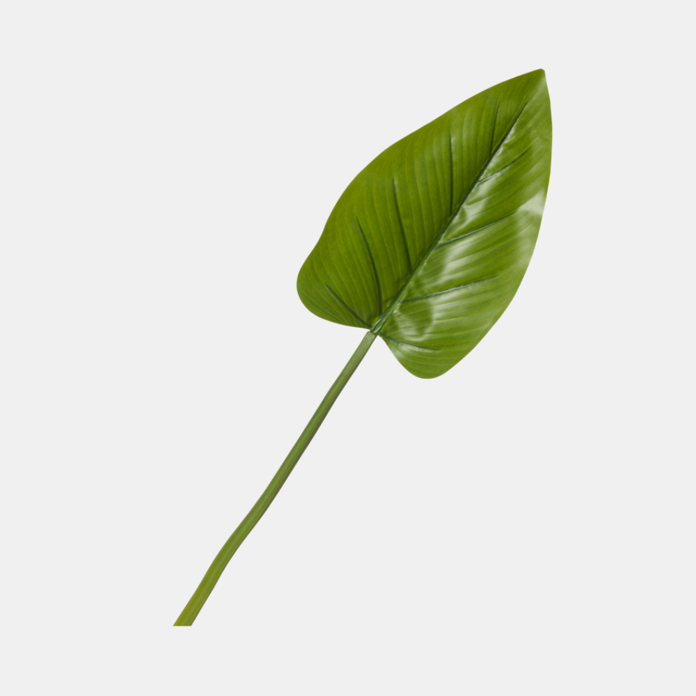 Rogue | Kingdom Leaf Stem | Shut the Front Door