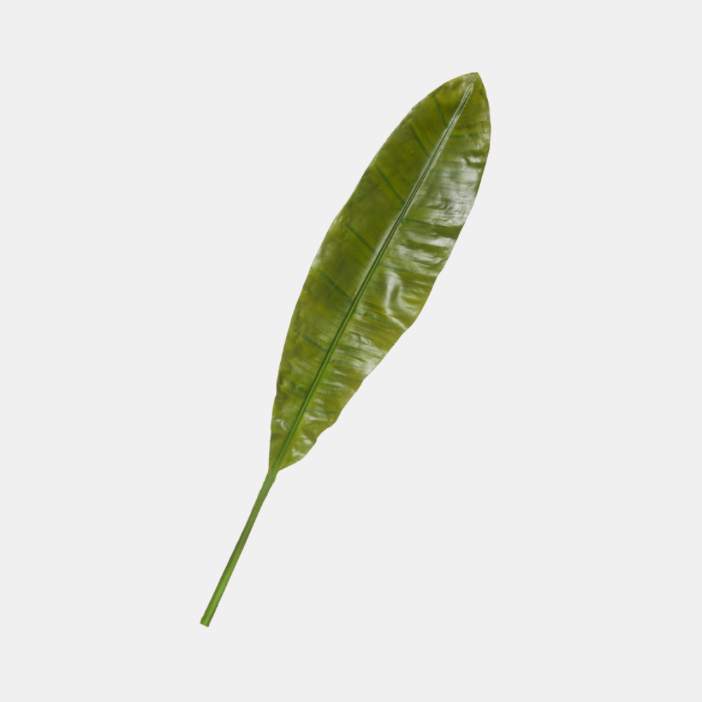 Rogue | Banana Leaf Stem | Shut the Front Door