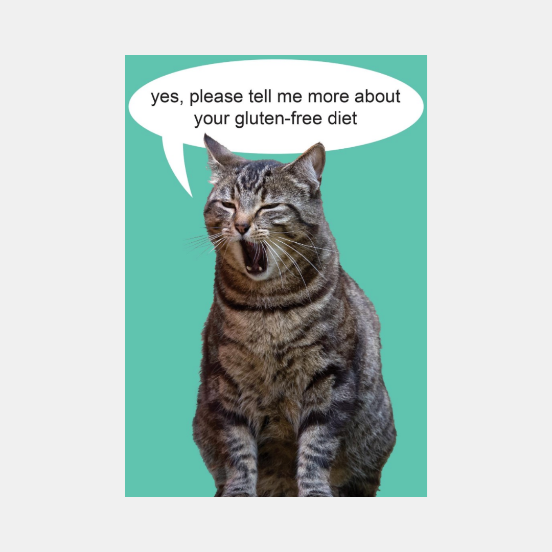 Kiss Me Kwik | Card Cat Blank | Shut the Front Door