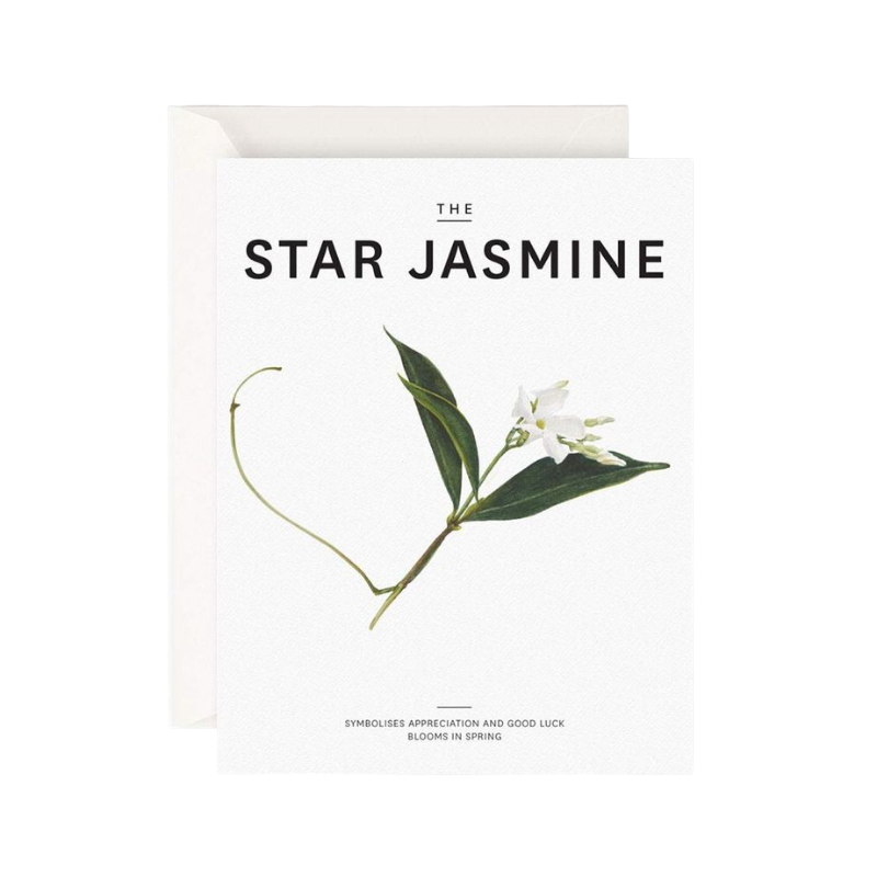 Father Rabbit | The Star Jasmine Card | Shut the Front Door