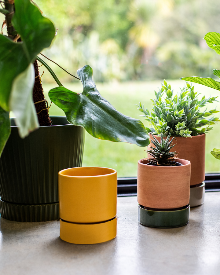 Garcia | Billie Planter Small - Mustard | Shut the Front Door