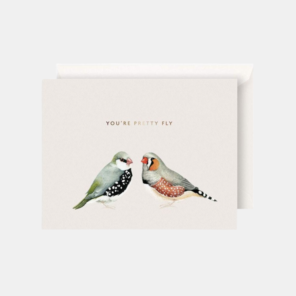 Father Rabbit | You're Pretty Fly Card | Shut the Front Door