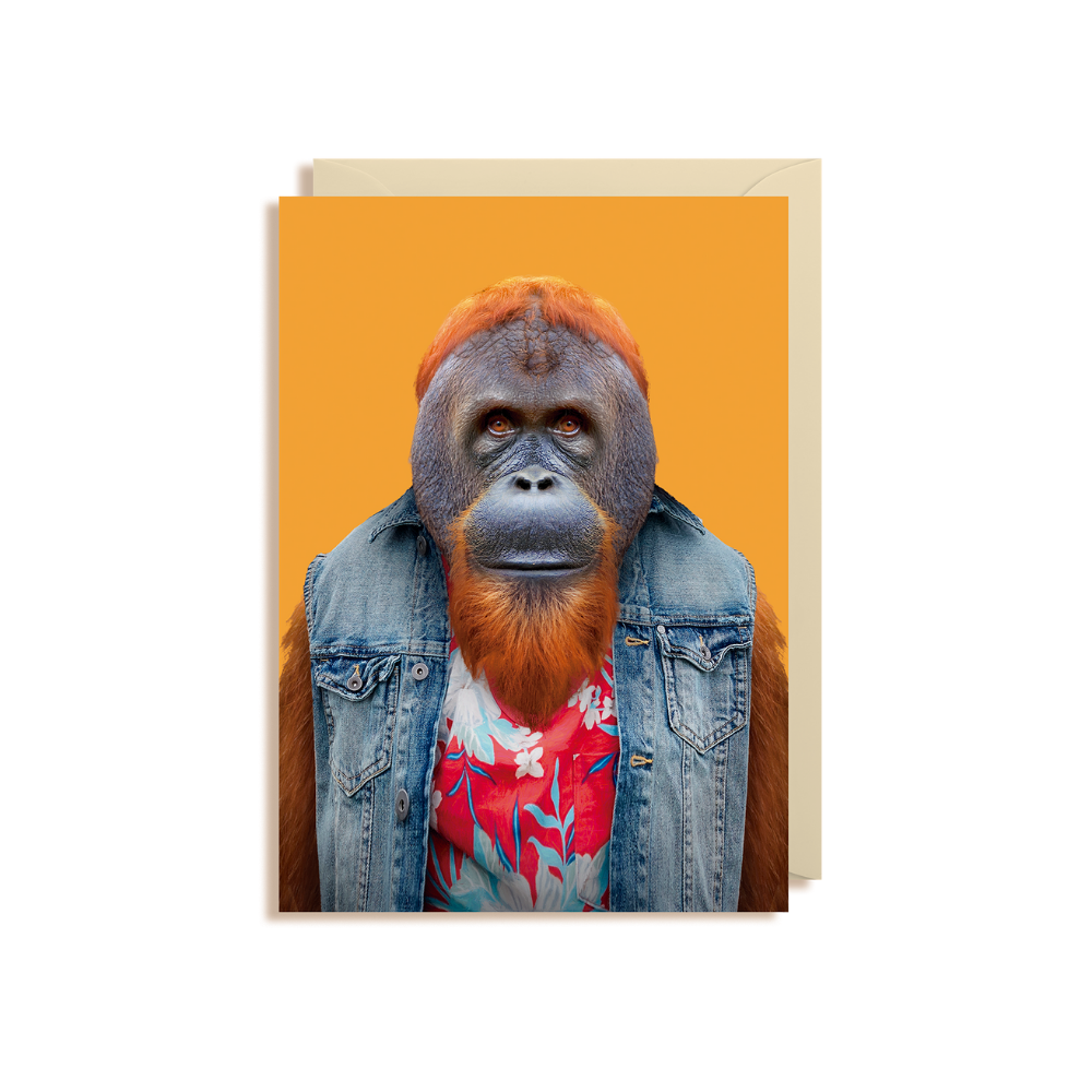 Lagom | Card Bornean Orangutan | Shut the Front Door