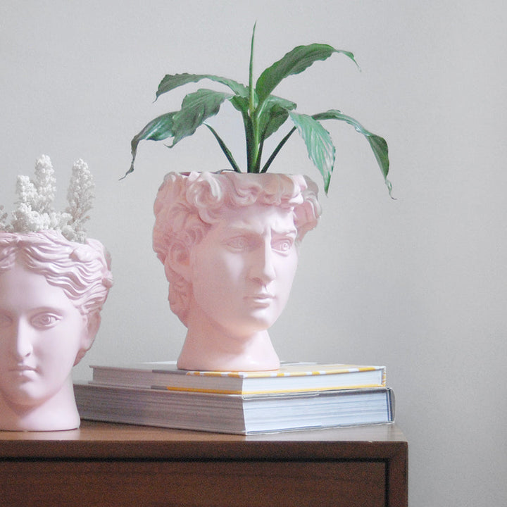 White Moose | David Vase Planter/Pink | Shut the Front Door