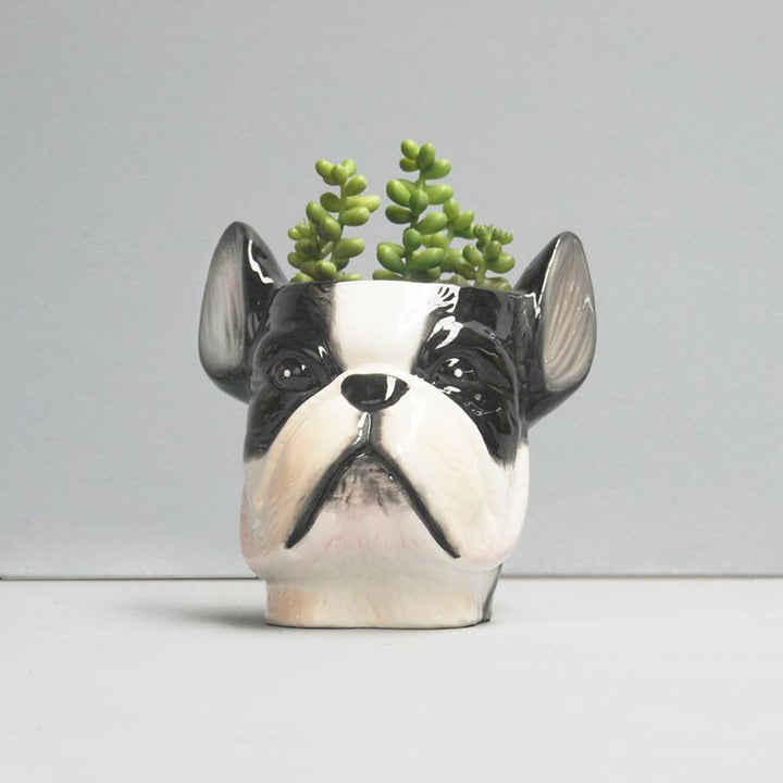 White Moose | Ceramic Planter - Frenchie | Shut the Front Door