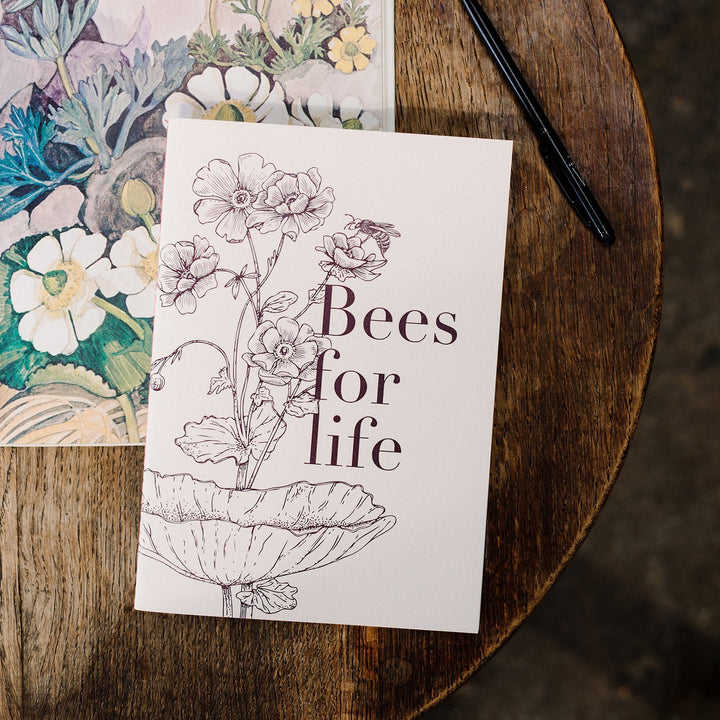 Miel des Collines | Bees for Life Notebook | Shut the Front Door