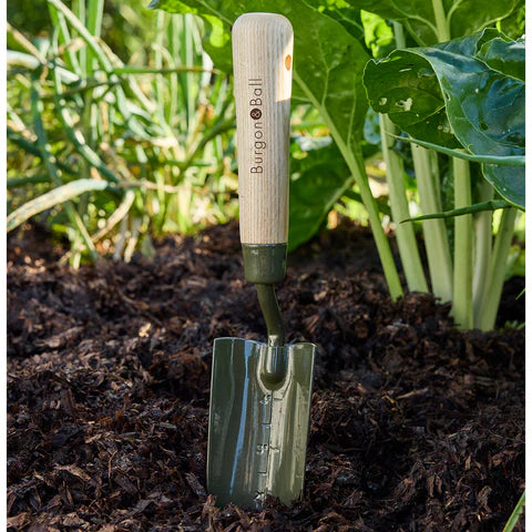 Burgon & Ball | Boron Green Transplanter RHS | Shut the Front Door