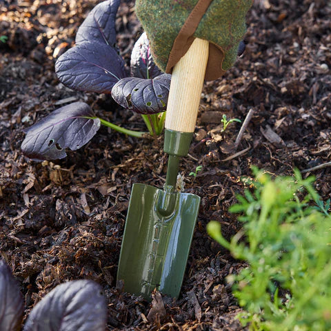 Burgon & Ball | Boron Green Transplanter RHS | Shut the Front Door