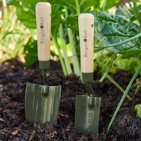 Burgon & Ball | Boron Green Transplanter RHS | Shut the Front Door