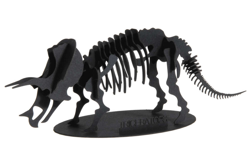 Fridolin | 3D Paper Model Triceratops | Shut the Front Door