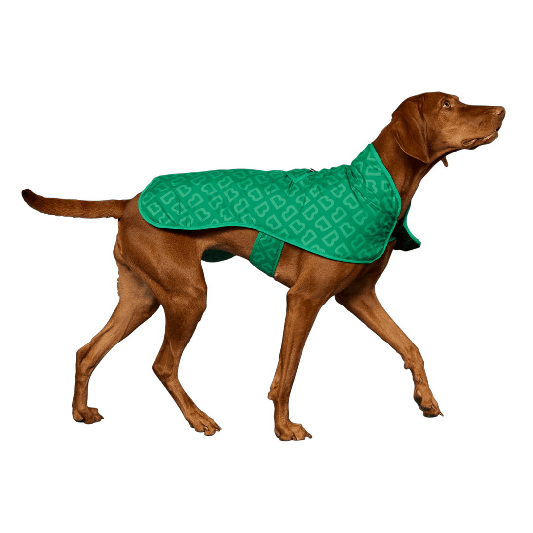 Blunt | Blunt Green Dog Coat - Large | Shut the Front Door