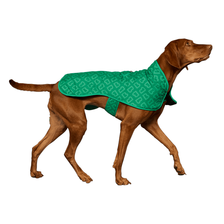 Blunt | Blunt Green Dog Coat - Large | Shut the Front Door