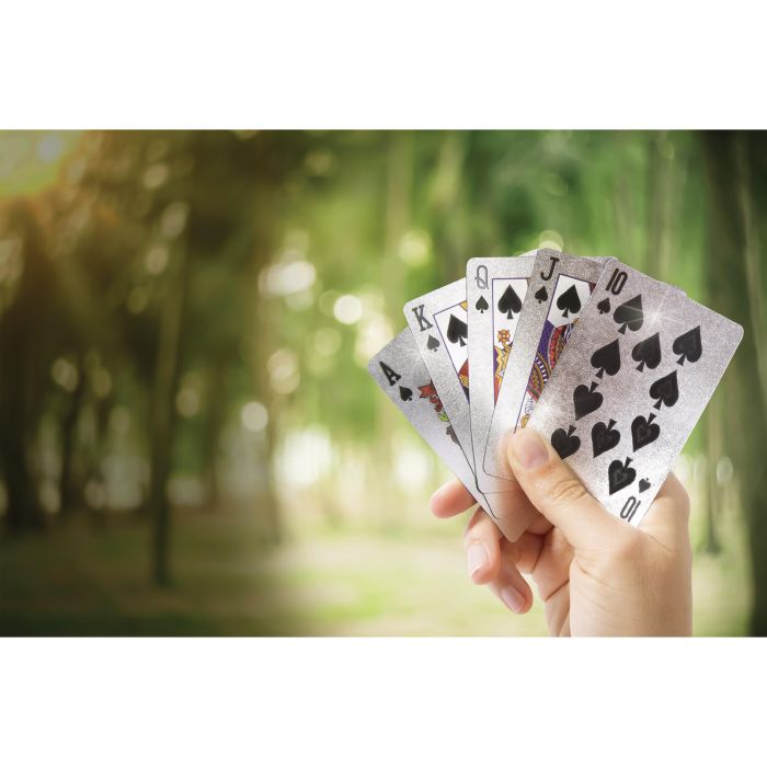 Mavericks | Waterproof Playing Cards in a Tin | Shut the Front Door