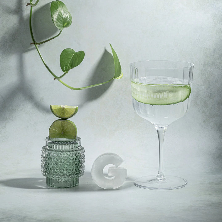 Drinks Plinks | Ice Cube Tray - G for Gin Lovers | Shut the Front Door