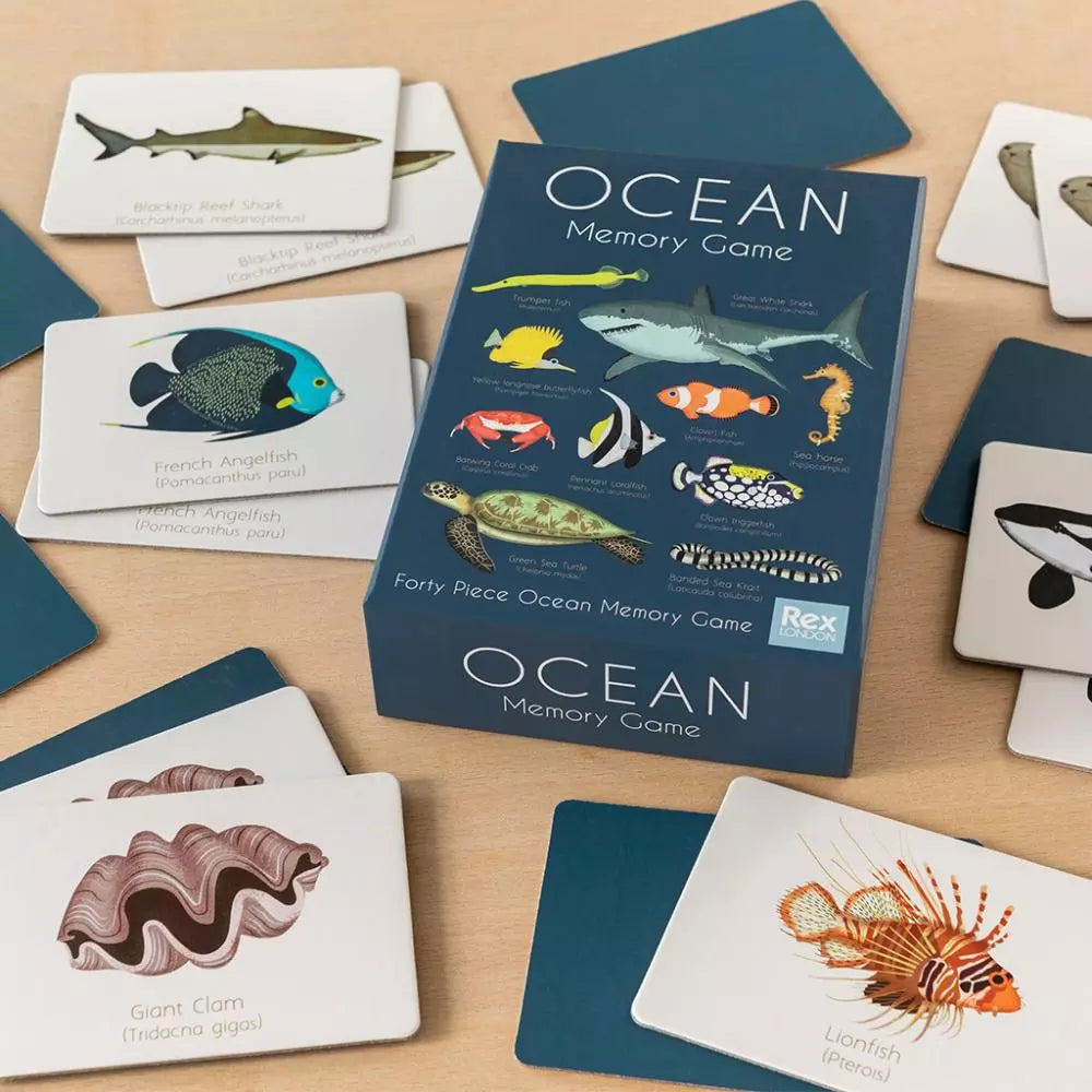 Rex London | Ocean Memory Game | Shut the Front Door