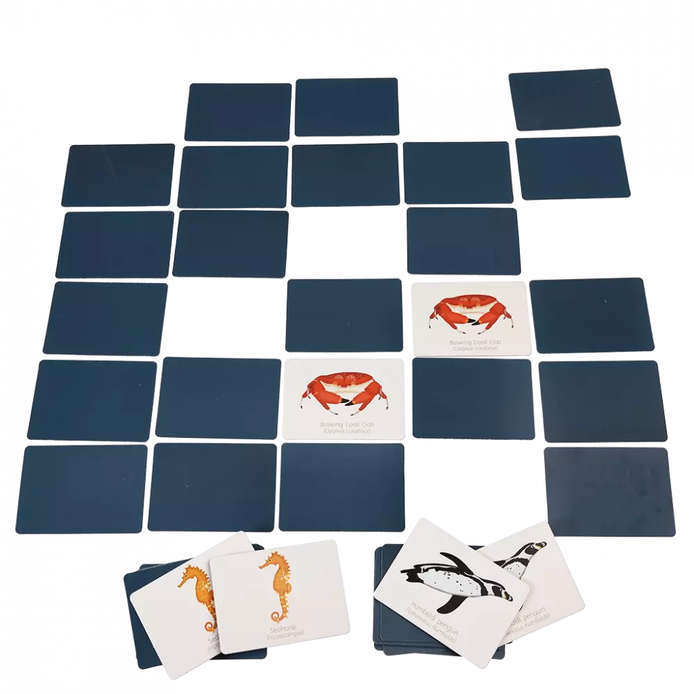 Rex London | Ocean Memory Game | Shut the Front Door