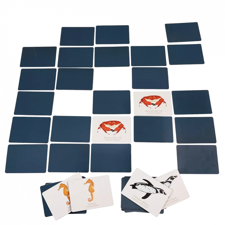 Rex London | Ocean Memory Game | Shut the Front Door