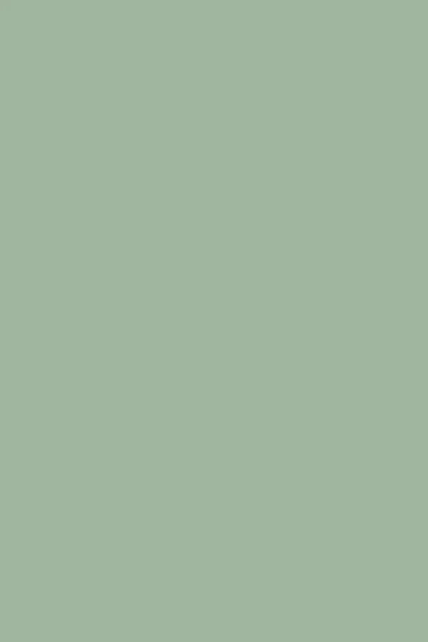 Mustard | The Kit Locker - Sage *PRE-ORDER | Shut the Front Door