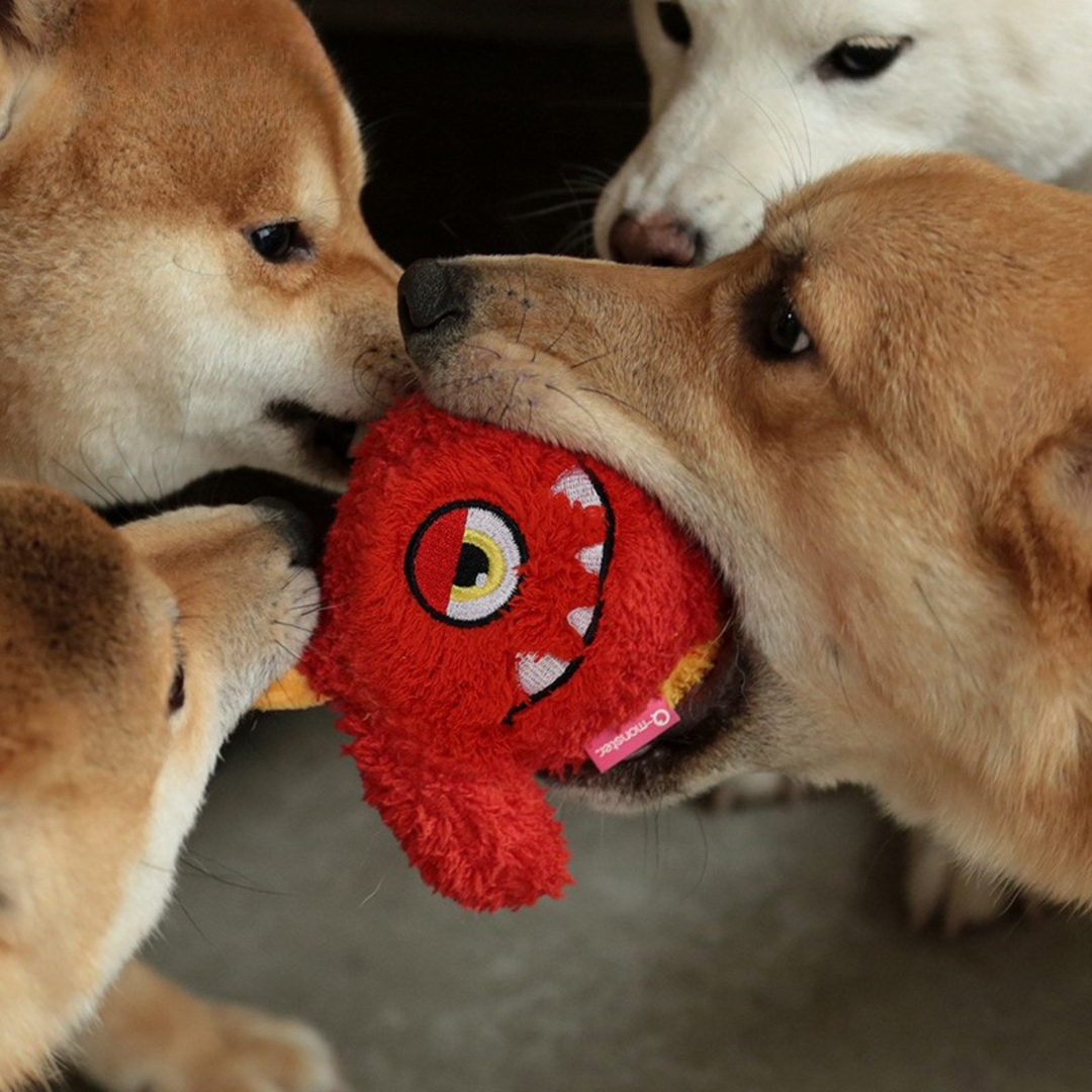 Pet Toy Cookie Monster Ball - Red