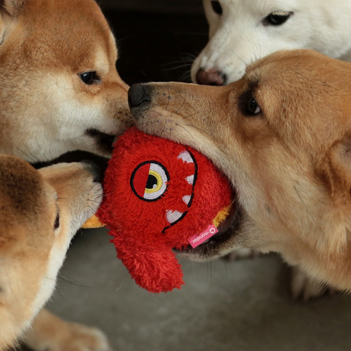 Pet Toy Cookie Monster Ball - Red