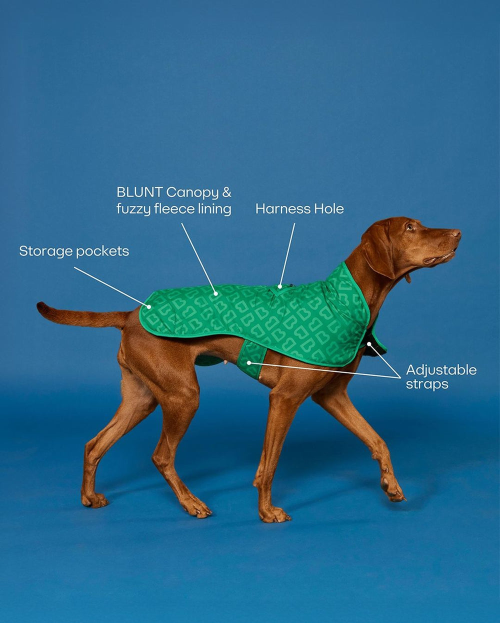 Blunt | Blunt Green Dog Coat - Large | Shut the Front Door