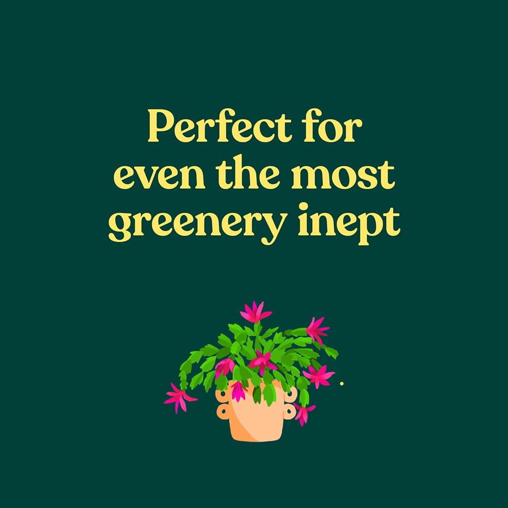 Chronicle Books | Green Dumb Guide to Houseplants | Shut the Front Door